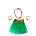 Fantasia de Carnaval Feminina Havaiana Luau (Saia de Fitas, Colar, 2 Pulseiras, Coroa)